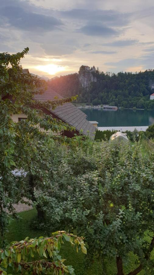Villa Anna Bled Exterior photo